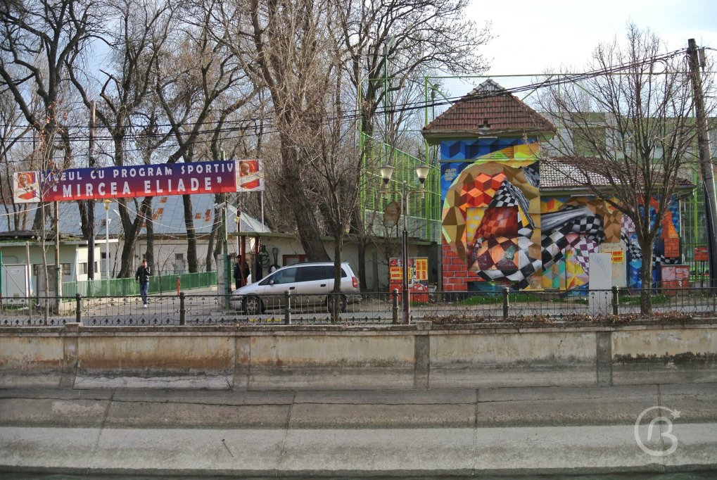 Liceul Cu Program Sportiv Mircea Eliade